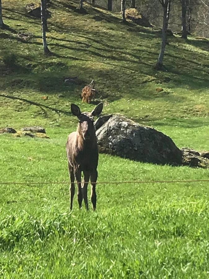 Villa Torpet Laengtan Ullared Esterno foto